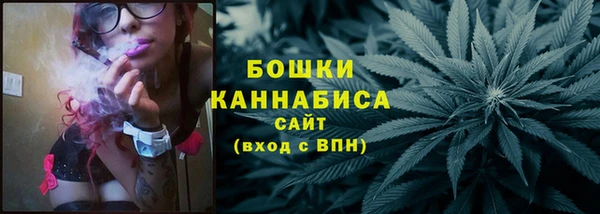МДПВ Богородск