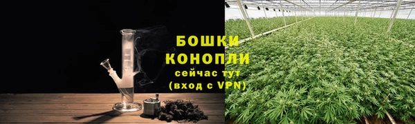 амф Богданович