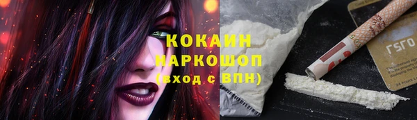 амф Богданович