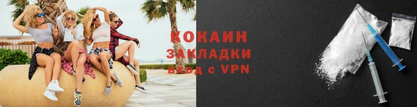 амф Богданович