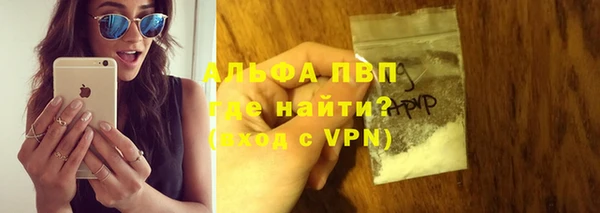 амф Богданович