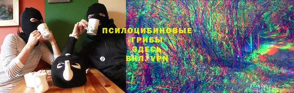 амф Богданович