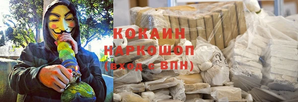 МДПВ Богородск