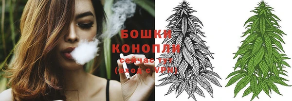 амф Богданович
