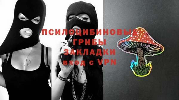 бутират Богородицк