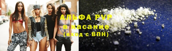 амф Богданович
